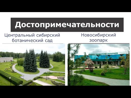 Достопримечательности Центральный сибирский ботанический сад Новосибирский зоопарк