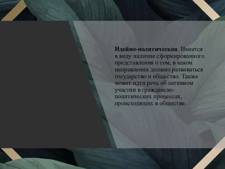 Идейно-политическая. Имеется в виду наличие сформированного представления о том, в каком