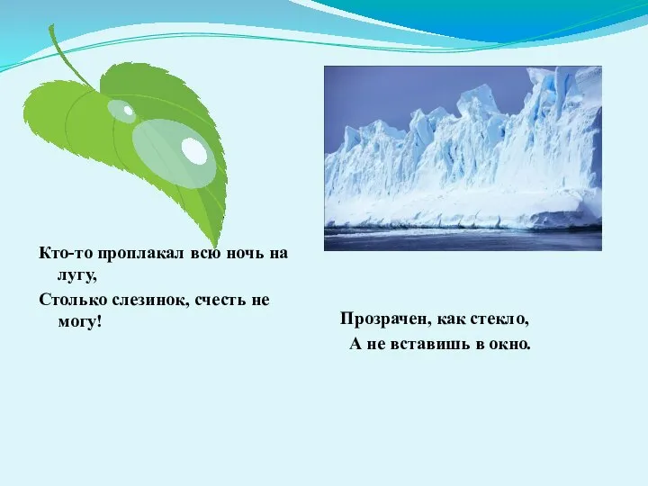 Кто-то проплакал всю ночь на лугу, Столько слезинок, счесть не могу!