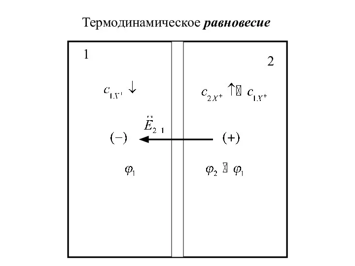 Термодинамическое равновесие 1 2