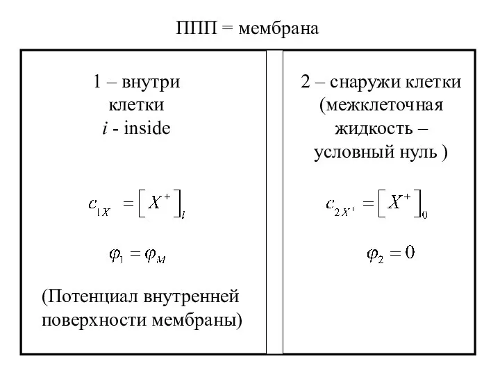 1 – внутри клетки i - inside 2 – снаружи клетки