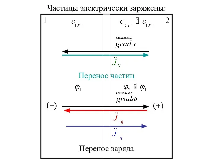 1 2 Перенос частиц Перенос заряда Частицы электрически заряжены: