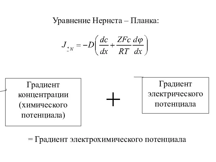 Уравнение Нернста – Планка: Градиент концентрации (химического потенциала) Градиент электрического потенциала = Градиент электрохимического потенциала