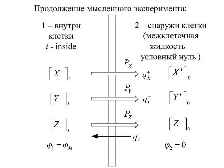 1 – внутри клетки i - inside 2 – снаружи клетки