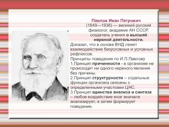 Павлов Иван Петрович (1849—1936) — великий русский физиолог, академик АН СССР,