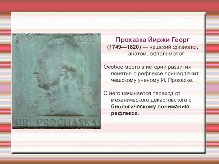 Прохазка Йиржи Георг (1749—1820) — чешский физиолог, анатом, офтальмолог. Особое место