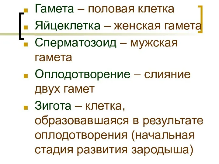 Гамета – половая клетка Яйцеклетка – женская гамета Сперматозоид – мужская