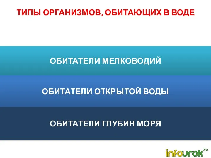 ОБИТАТЕЛИ МЕЛКОВОДИЙ ТИПЫ ОРГАНИЗМОВ, ОБИТАЮЩИХ В ВОДЕ ОБИТАТЕЛИ ОТКРЫТОЙ ВОДЫ ОБИТАТЕЛИ ГЛУБИН МОРЯ