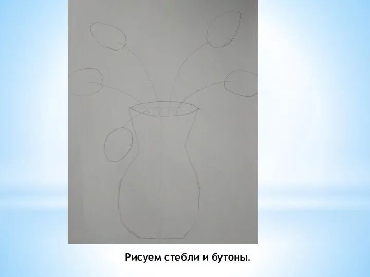 Рисуем стебли и бутоны.