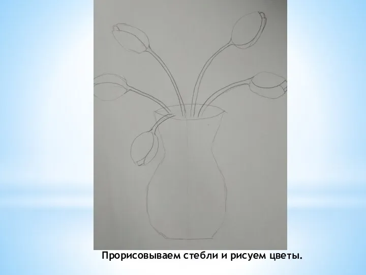 Прорисовываем стебли и рисуем цветы.