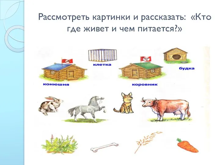 Рассмотреть картинки и рассказать: «Кто где живет и чем питается?»