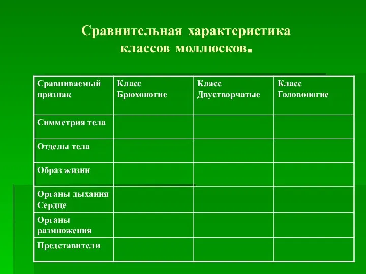 Сравнительная характеристика классов моллюсков.