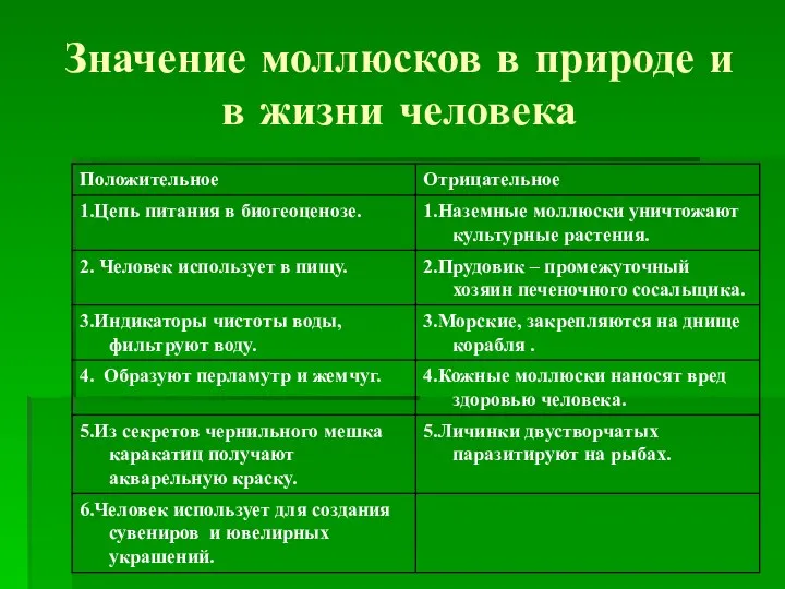 Значение моллюсков в природе и в жизни человека