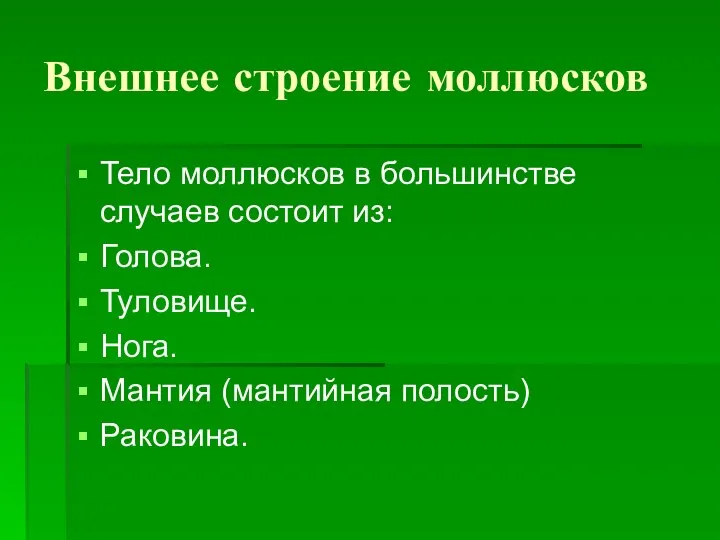 Внешнее строение моллюсков Тело моллюсков в большинстве случаев состоит из: Голова.