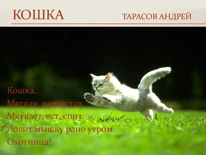 КОШКА ТАРАСОВ АНДРЕЙ Кошка. Мягкая, пушистая. Мяукает, ест, спит. Ловит мышку рано утром. Охотница!