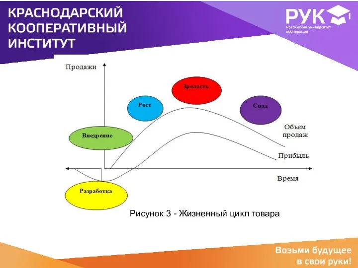 Рисунок 3 - Жизненный цикл товара