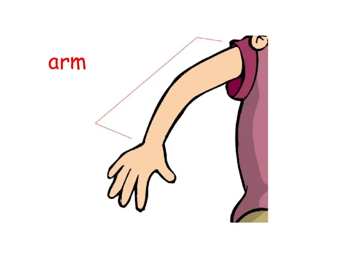 arm