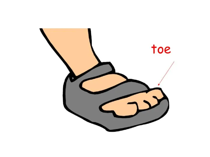 toe