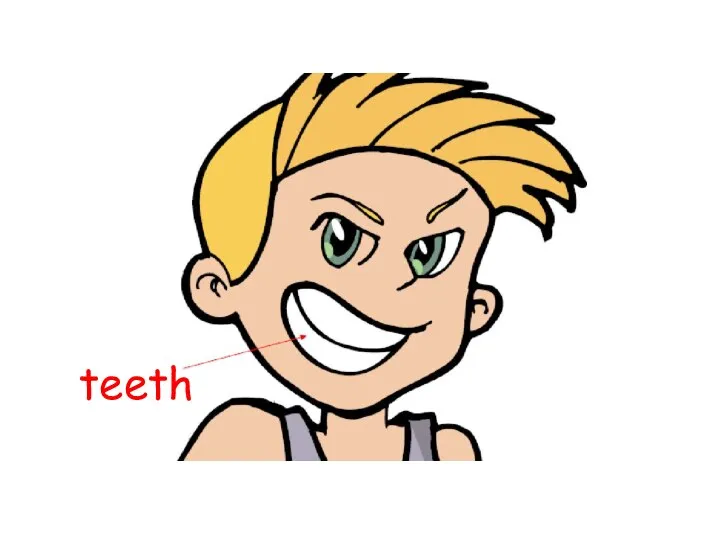 teeth