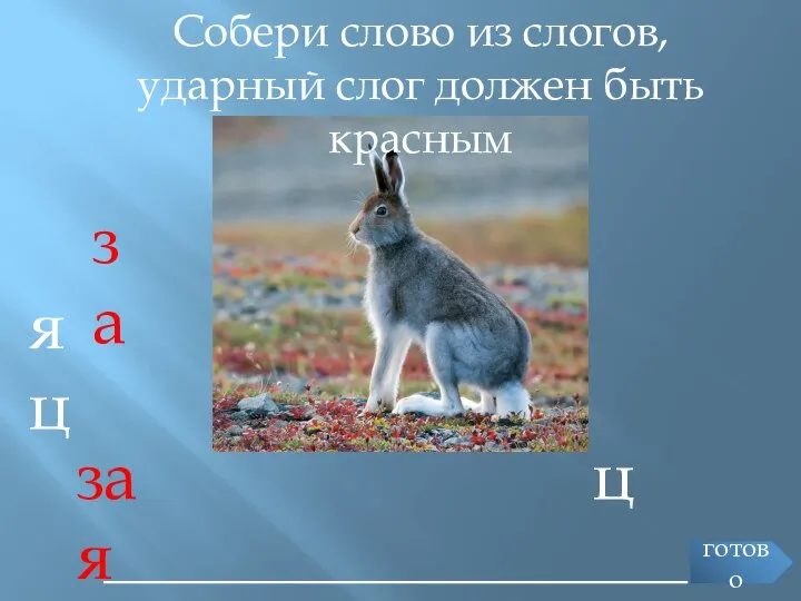 Собери слово из слогов, ударный слог должен быть красным ________________________ яц за ц зая готово