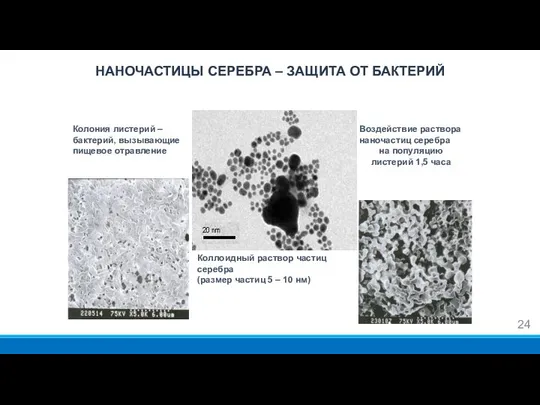 НАНОЧАСТИЦЫ СЕРЕБРА – ЗАЩИТА ОТ БАКТЕРИЙ Колония листерий – бактерий, вызывающие пищевое отравление