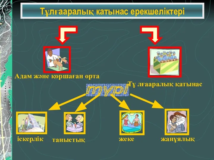 Тұлғааралық катынас ерекшеліктері түрі