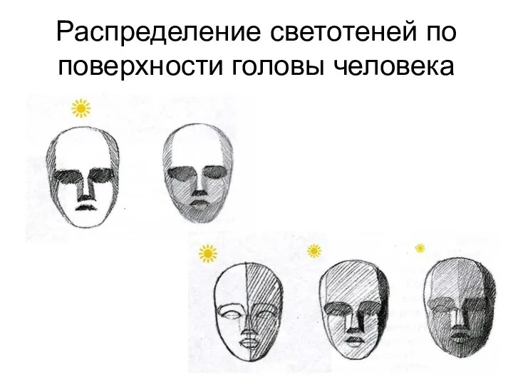 Распределение светотеней по поверхности головы человека