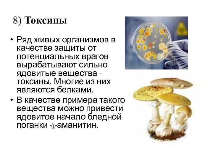 8) Токсины Ряд живых организмов в качестве защиты от потенциальных врагов