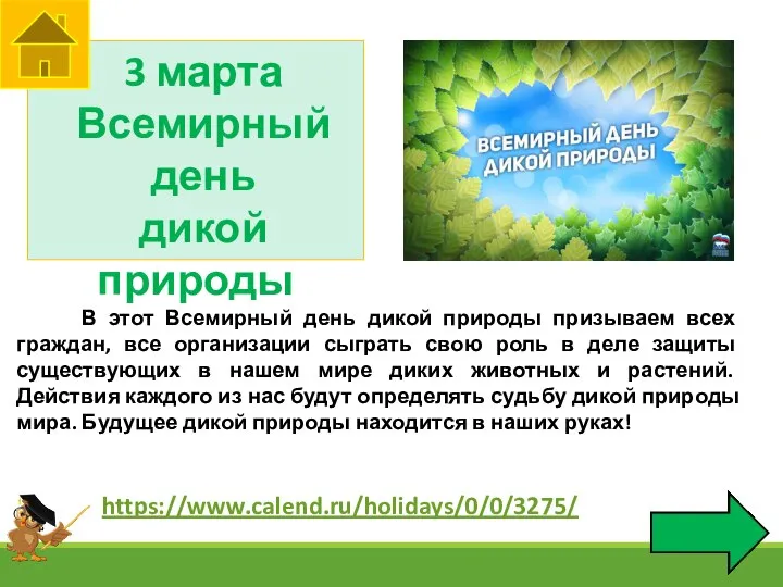 3 марта Всемирный день дикой природы В этот Всемирный день дикой