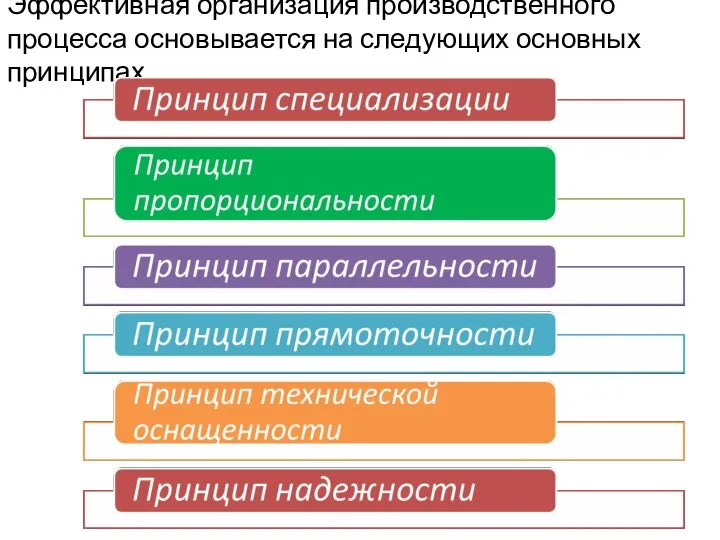 Эффективная организация производственного процесса основывается на следующих основных принципах.