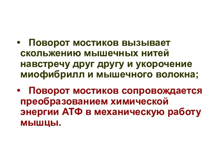 Поворот мостиков вызывает скольжению мышечных нитей навстречу друг другу и укорочение