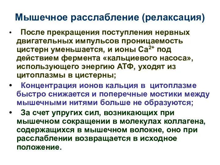 Мышечное расслабление (релаксация) После прекращения поступления нервных двигательных импульсов проницаемость цистерн