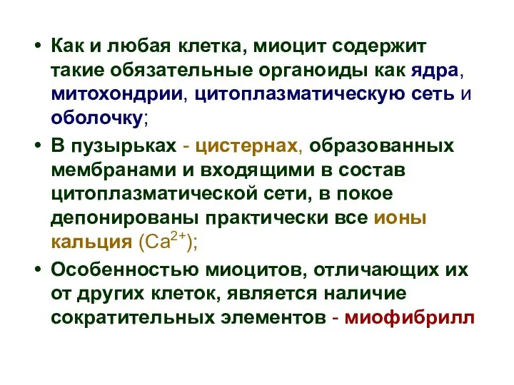 Как и любая клетка, миоцит содержит такие обязательные органоиды как ядра,