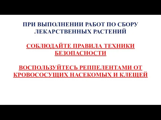 ПРИ ВЫПОЛНЕНИИ РАБОТ ПО СБОРУ ЛЕКАРСТВЕННЫХ РАСТЕНИЙ СОБЛЮДАЙТЕ ПРАВИЛА ТЕХНИКИ БЕЗОПАСНОСТИ