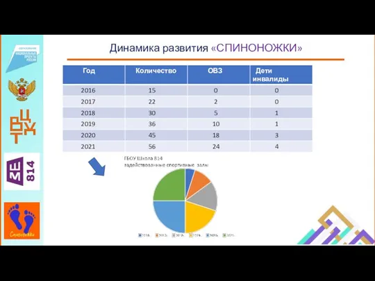 Динамика развития «СПИНОНОЖКИ»