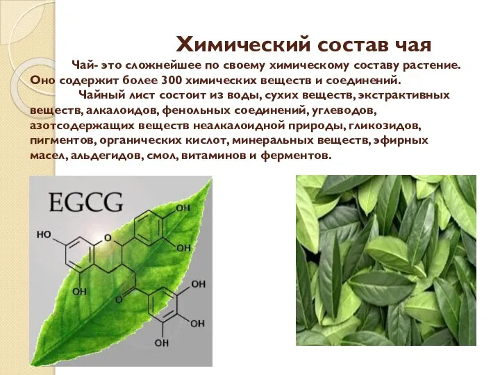 Химический состав чая Чай- это сложнейшее по своему химическому составу растение.