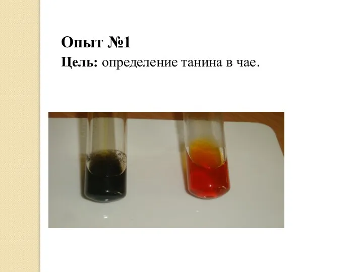 Опыт №1 Цель: определение танина в чае.