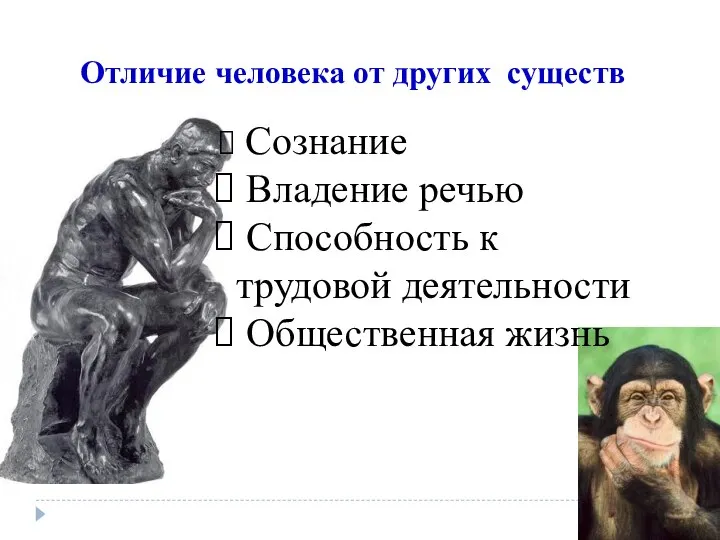 Отличие человека от других существ Сознание Владение речью Способность к трудовой деятельности Общественная жизнь