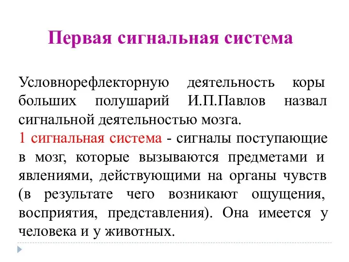 Первая сигнальная система Условнорефлекторную деятельность коры больших полушарий И.П.Павлов назвал сигнальной