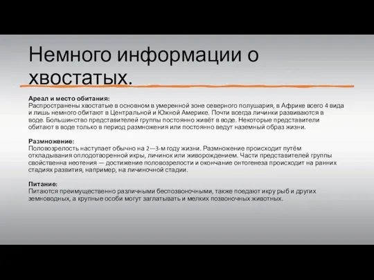 Немного информации о хвостатых. Ареал и место обитания: Распространены хвостатые в