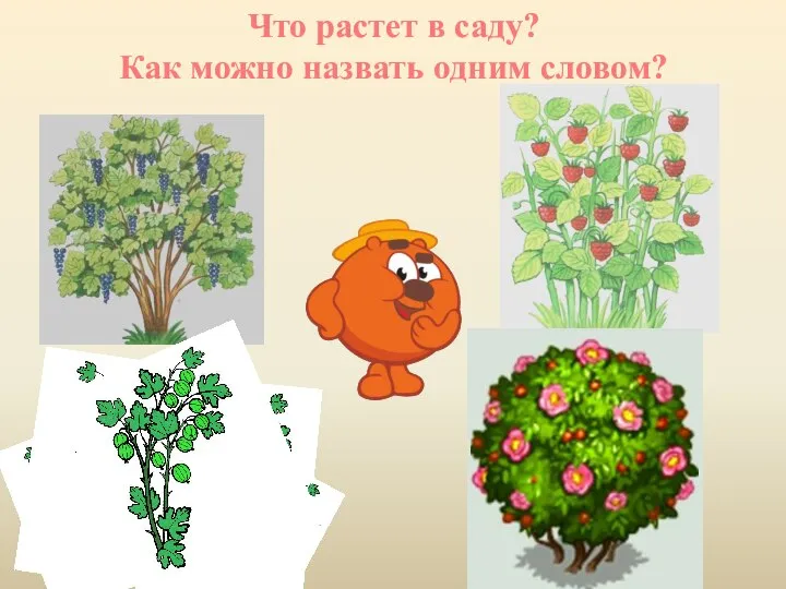 Что растет в саду? Как можно назвать одним словом?