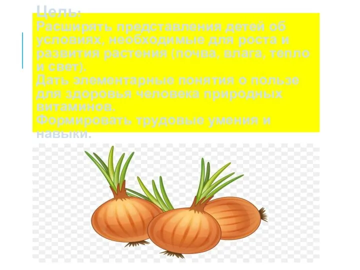 Цель: Расширять представления детей об условиях, необходимые для роста и развития