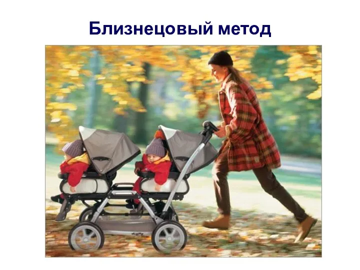 Близнецовый метод