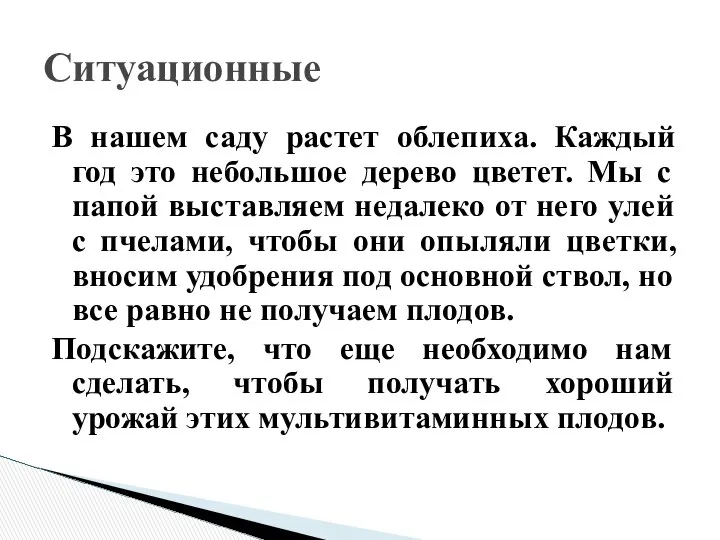 В нашем саду растет облепиха. Каждый год это небольшое дерево цветет.