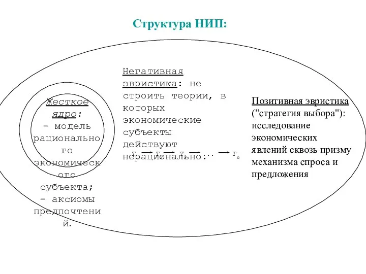 Структура НИП: Позитивная эвристика ("стратегия выбора"): исследование экономических явлений сквозь призму