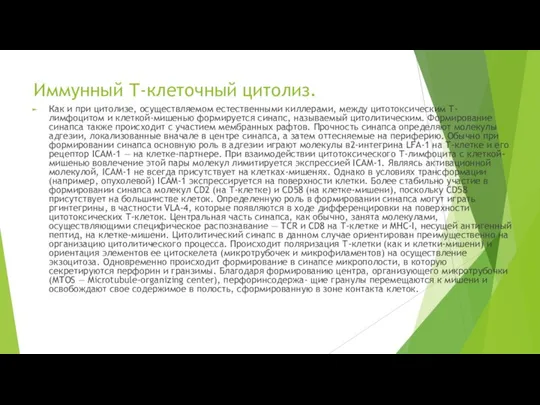 Иммунный Т-клеточный цитолиз. Как и при цитолизе, осуществляемом естественными киллерами, между