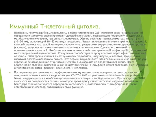 Иммунный Т-клеточный цитолиз. Перфорин, поступающий в микрополость, в присутствии ионов Ca2+