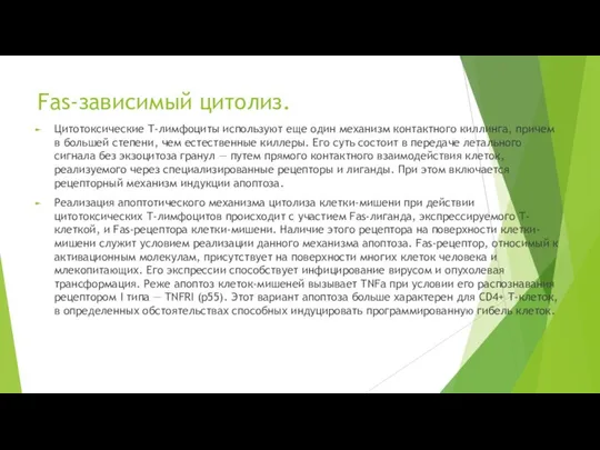 Fas-зависимый цитолиз. Цитотоксические Т-лимфоциты используют еще один механизм контактного киллинга, причем