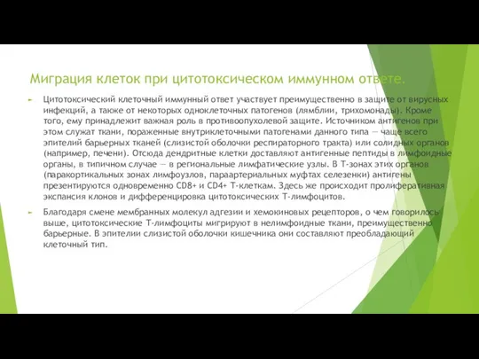 Миграция клеток при цитотоксическом иммунном ответе. Цитотоксический клеточный иммунный ответ участвует