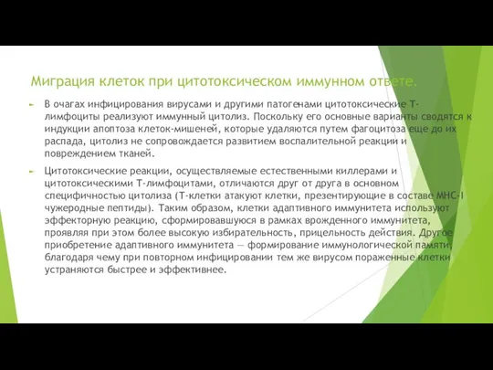 Миграция клеток при цитотоксическом иммунном ответе. В очагах инфицирования вирусами и